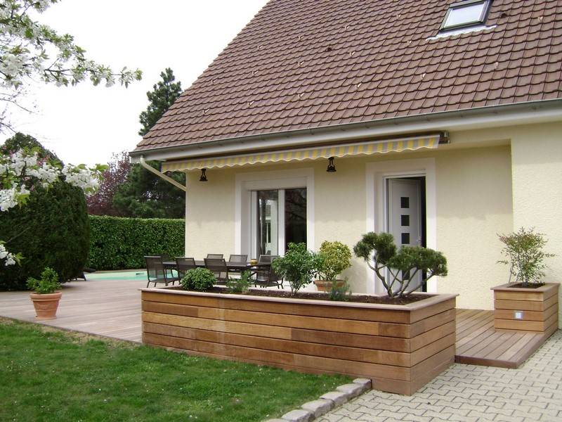 Plantation d'arbres